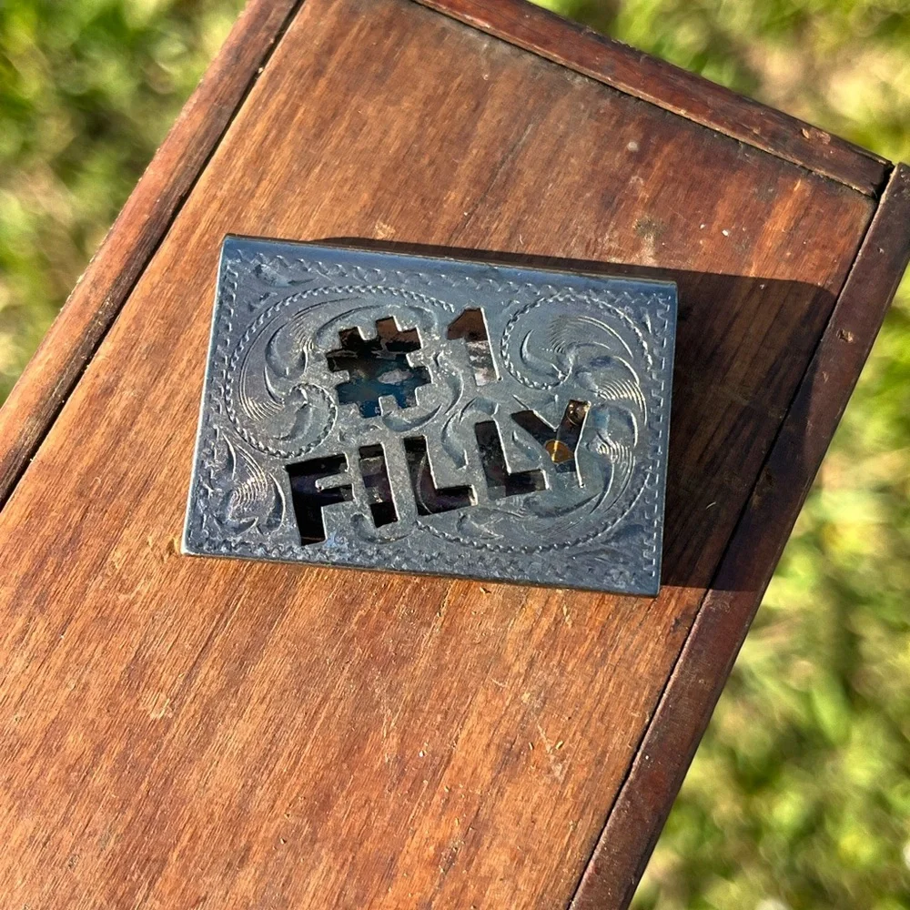 Alpaca Silver Money Clip